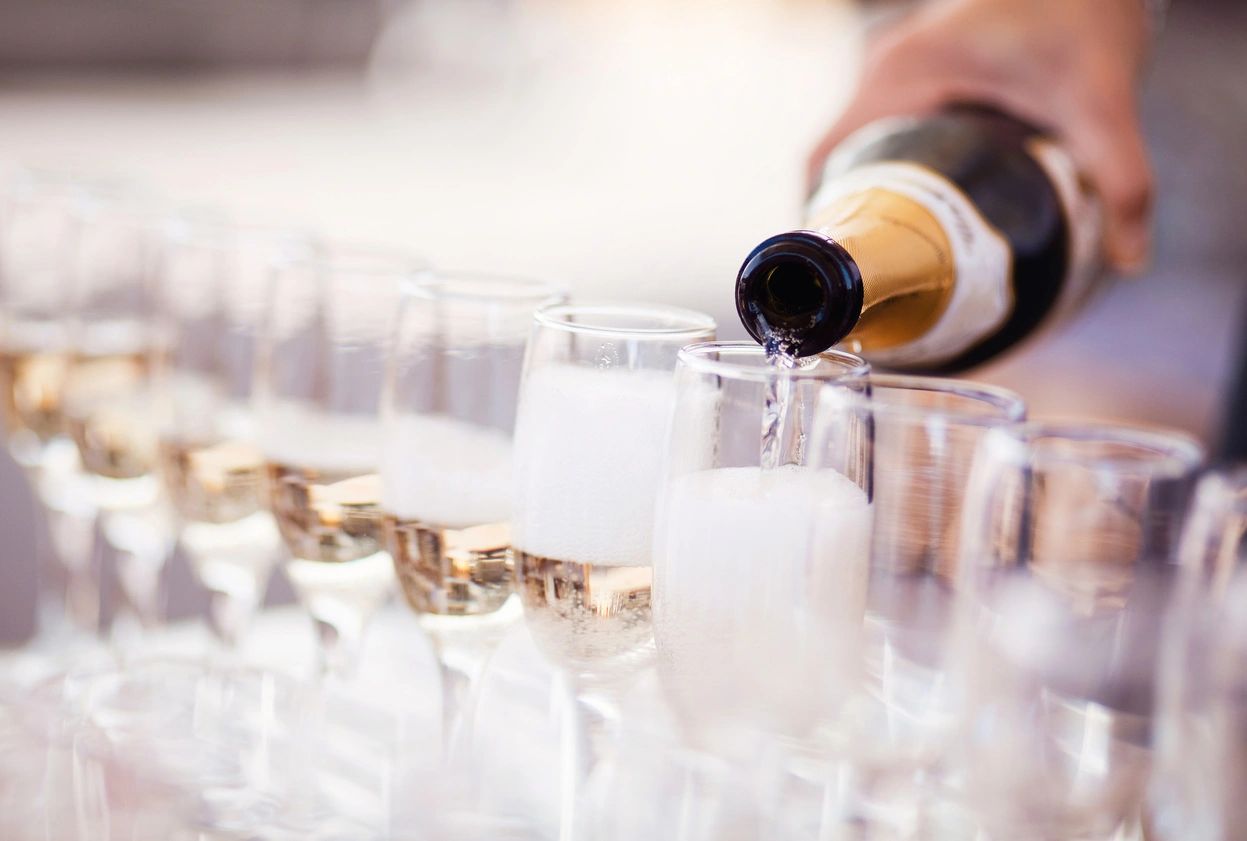 Alimentos gourmet con vino